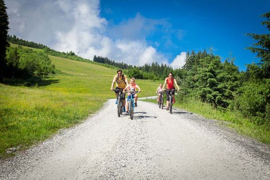 Familie radfahren